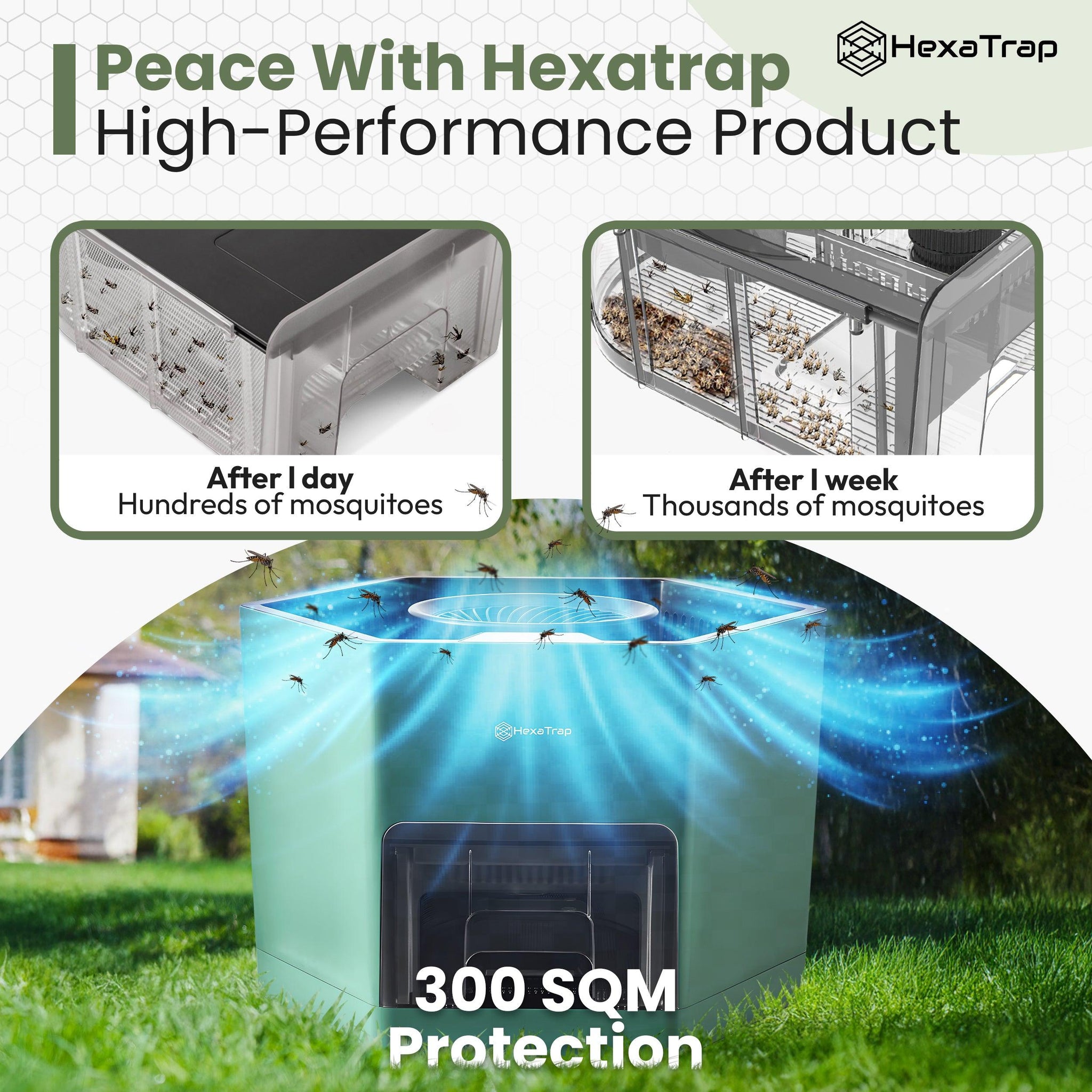 HexaTrap®